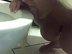 Fat pig licks piss and toilet
