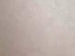 Stretching her ass with a water bottle Hot Clip | xvideosearch.com