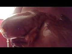 Dessert anyone? HD | xvideosearch.com