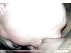 Fucking Hubby HD | xvideosearch.com