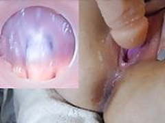 good bbw Online | xvideosearch.com